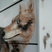 Commode sculptée - Mon loup - détail
